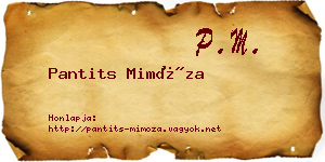 Pantits Mimóza névjegykártya